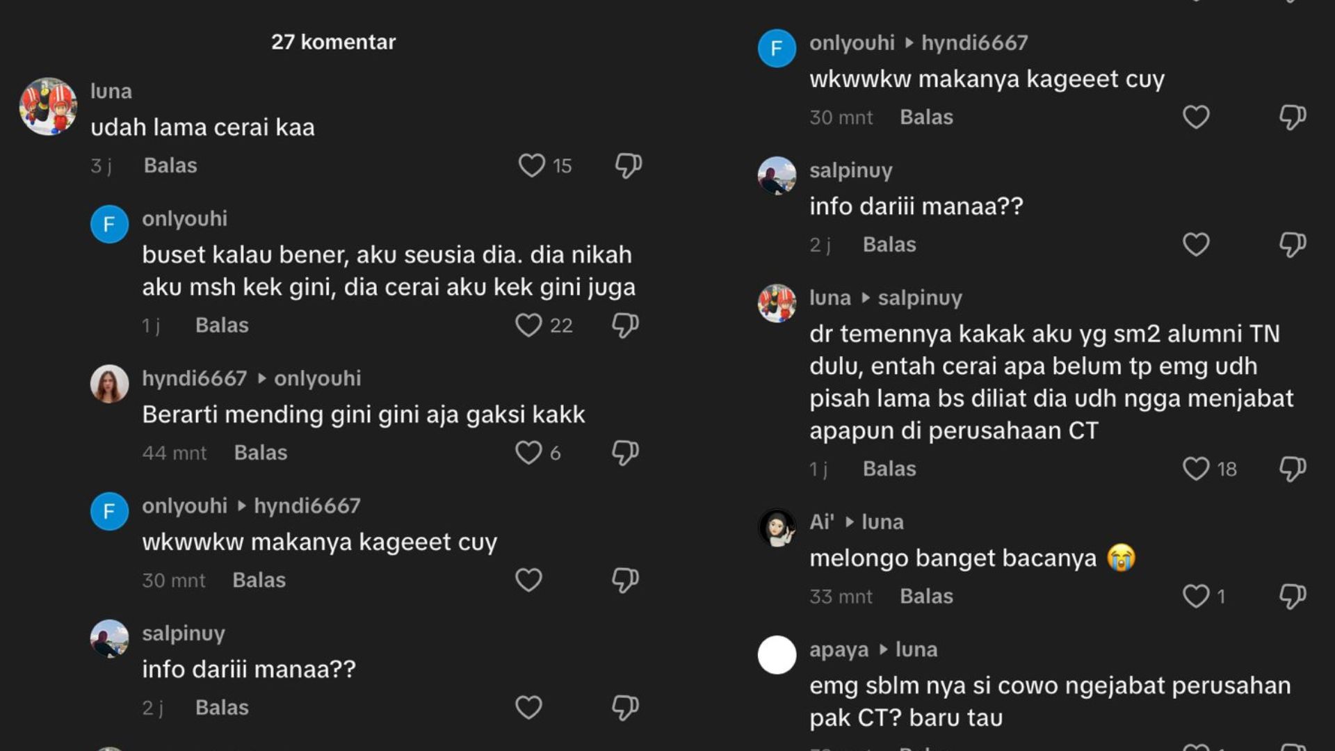 Komentar Netizen soal Kabar Perceraian Putri Tanjung (TikTok)